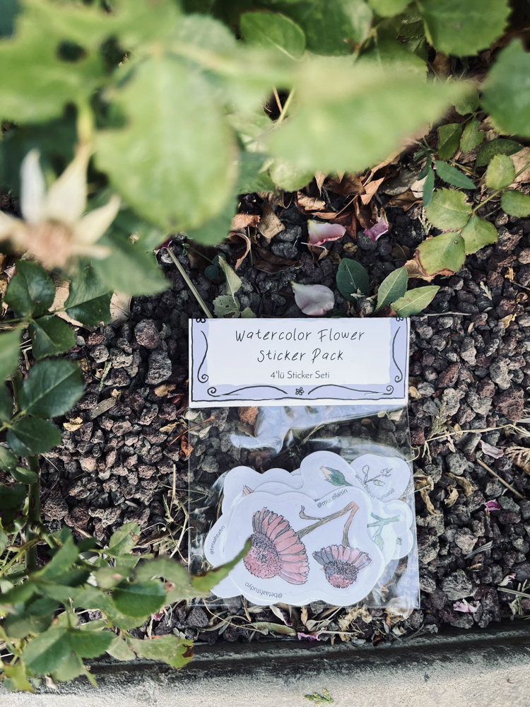 Watercolor Flower Sticker Pack - 4’lü Sticker Seti