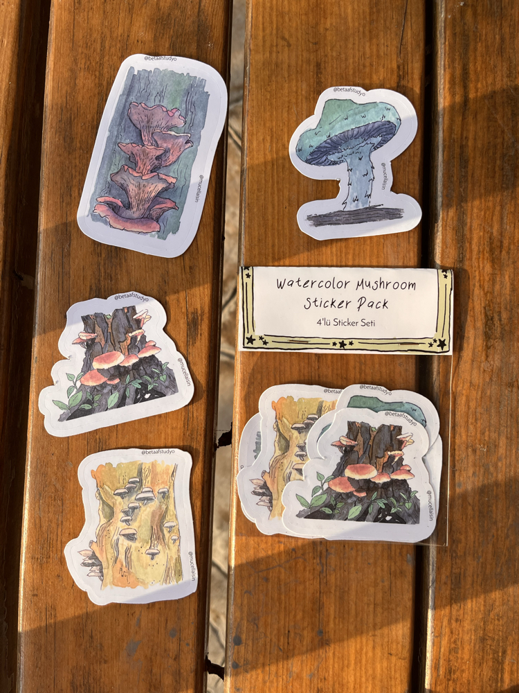 Watercolor Mushroom Sticker Pack - 4’lü Sticker Seti