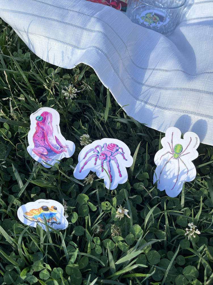 Watercolor Random Sticker Pack - 4’lü Karışık Sticker Seti