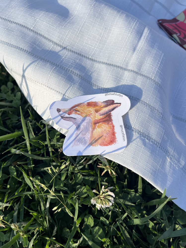 Orta Boy Tekli Sticker - Tilki