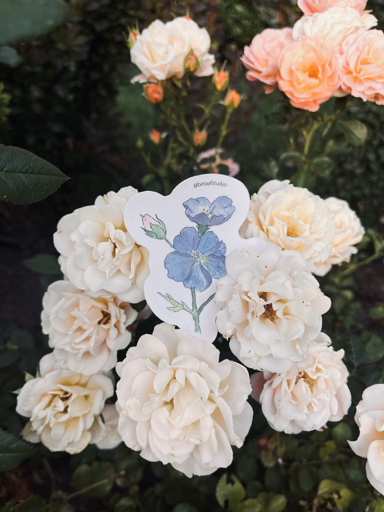 Watercolor Flower Sticker Pack - 4’lü Sticker Seti