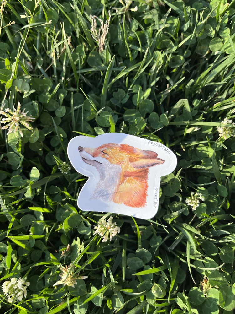 Orta Boy Tekli Sticker - Tilki