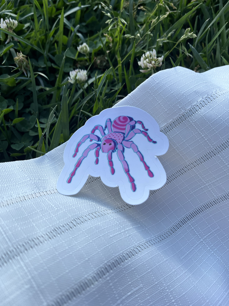 Küçük Boy Tekli Sticker - Örümcek 2