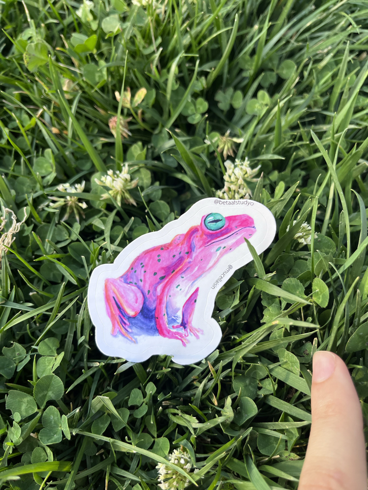 Orta Boy Tekli Sticker - Kurbağa