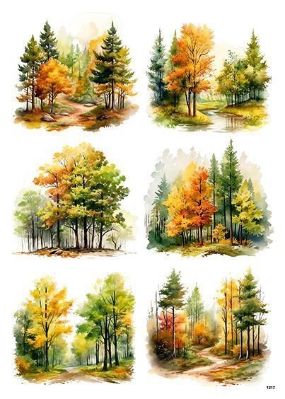 Büyük Ağaçlar Set Pet sticker 4sayfa (a4)