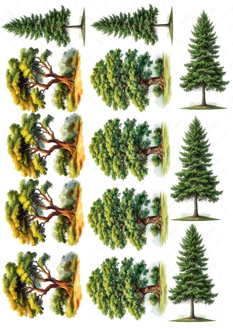 Büyük Ağaçlar Set Pet sticker 4sayfa (a4)