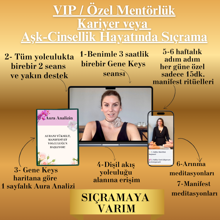 VIP / Özel Mentörlük Kariyer veya Aşk-Cinsellik Hayatında Sıçrama