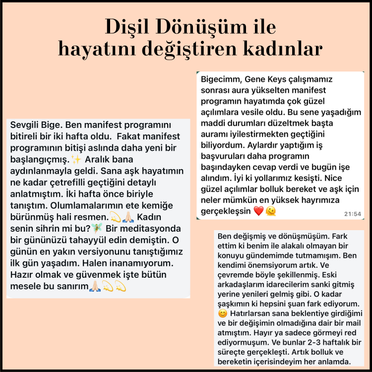 6 Haftada KİŞİSEL DÖNÜŞÜM: Aura Yükselten Manifest Programı