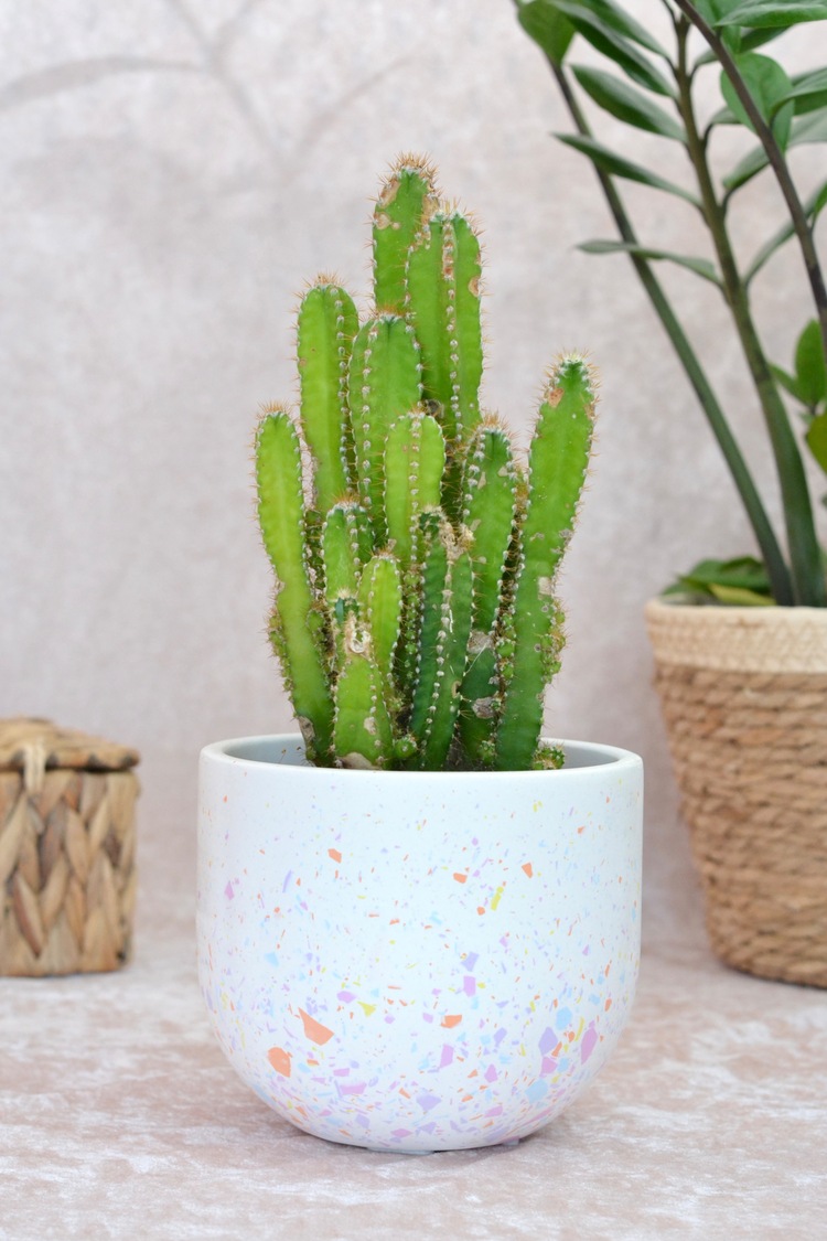 Renkli Terrazzo Oval Tabanlı Saksı