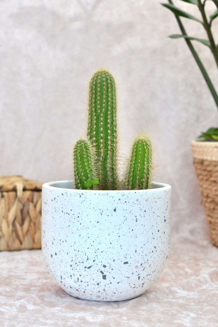 Kahverengi Terrazzo Oval Tabanlı Saksı
