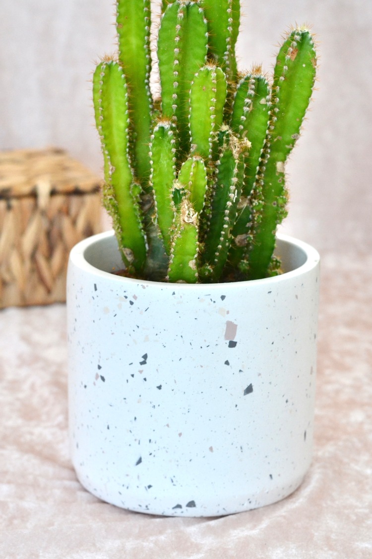 Kahverengi Terrazzo Saksı