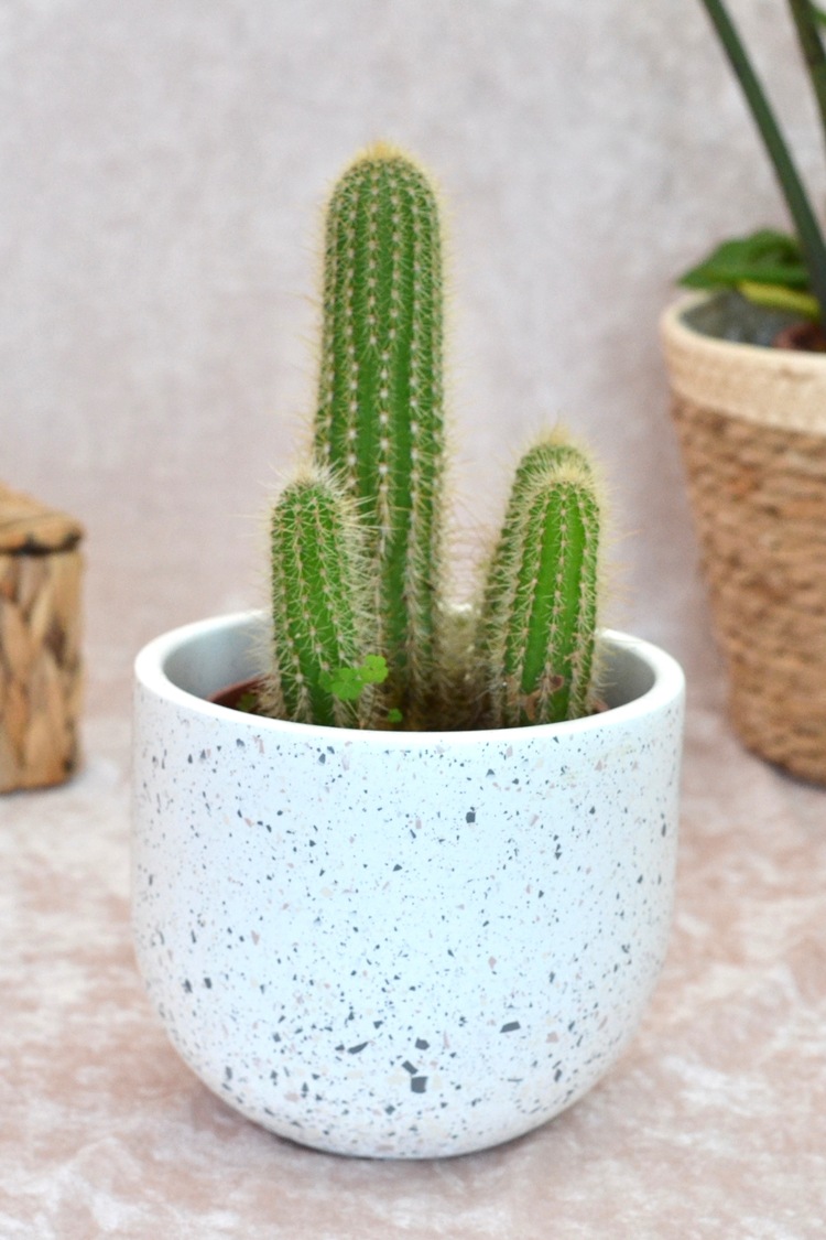 Kahverengi Terrazzo Oval Tabanlı Saksı