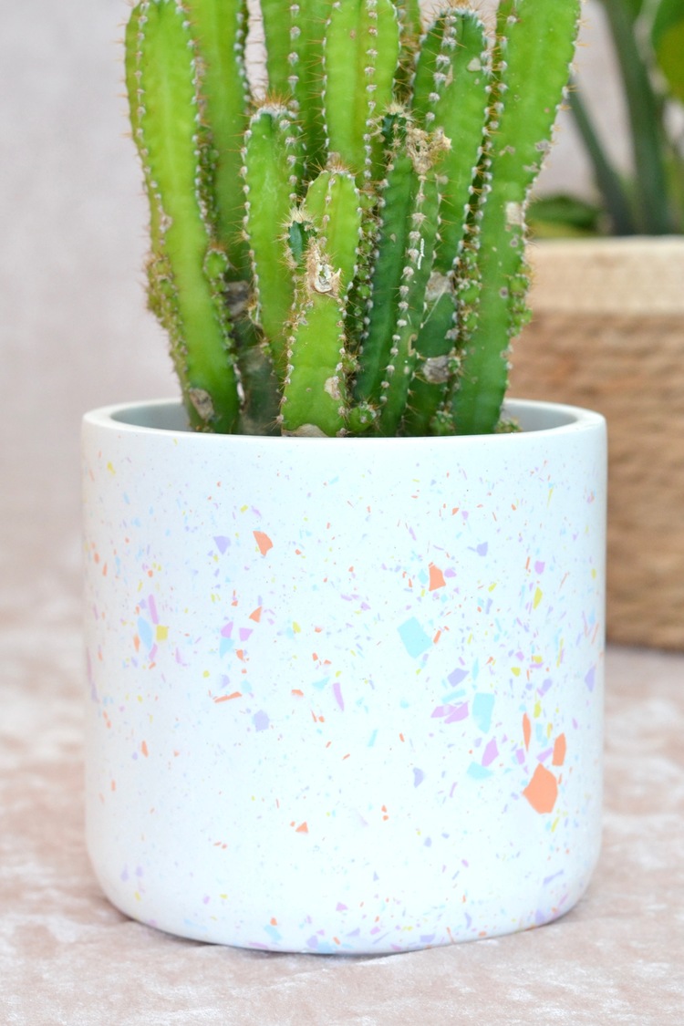 Renkli Terrazzo Saksı