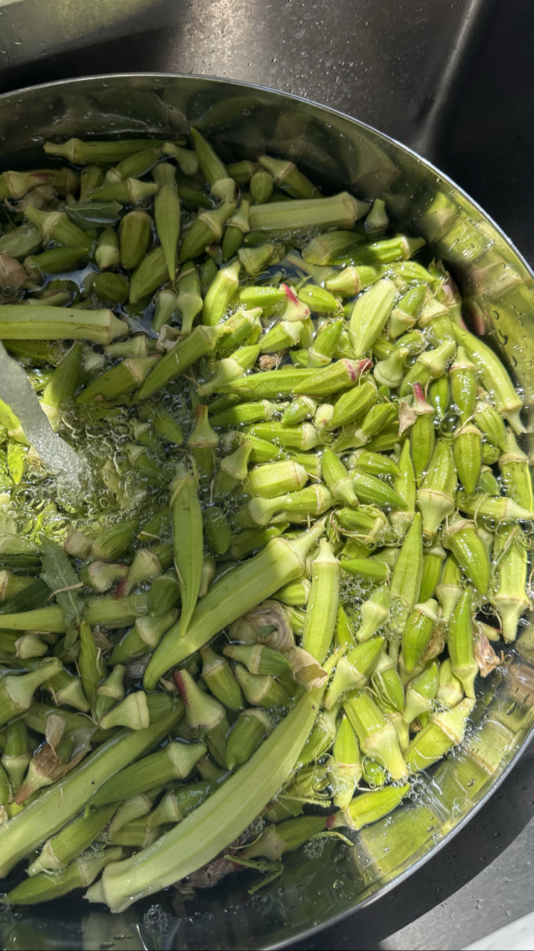 Kuru Bamya