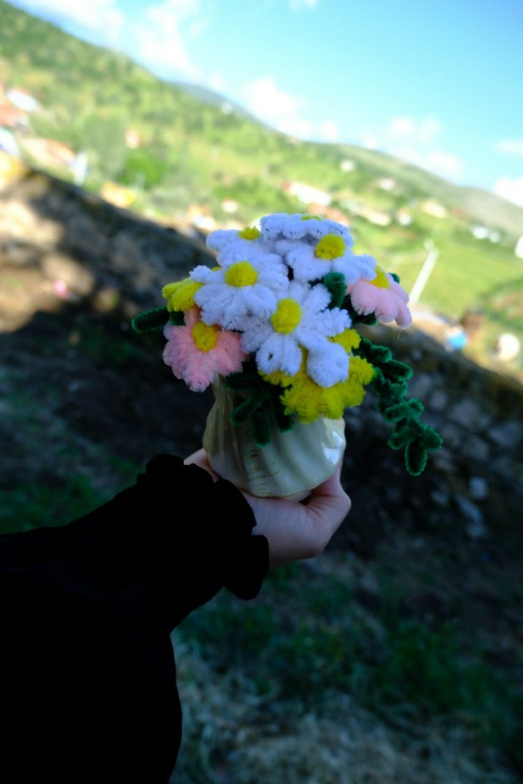 Papatya (şönil)