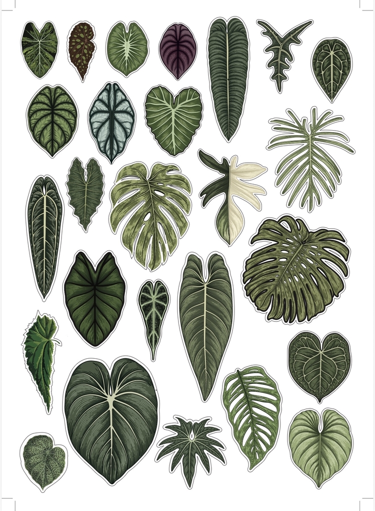 Plant Sticker Set
