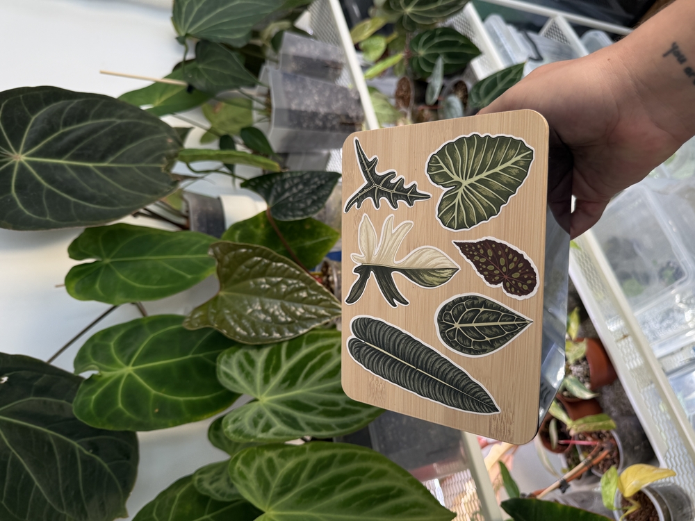 Plant Sticker Set