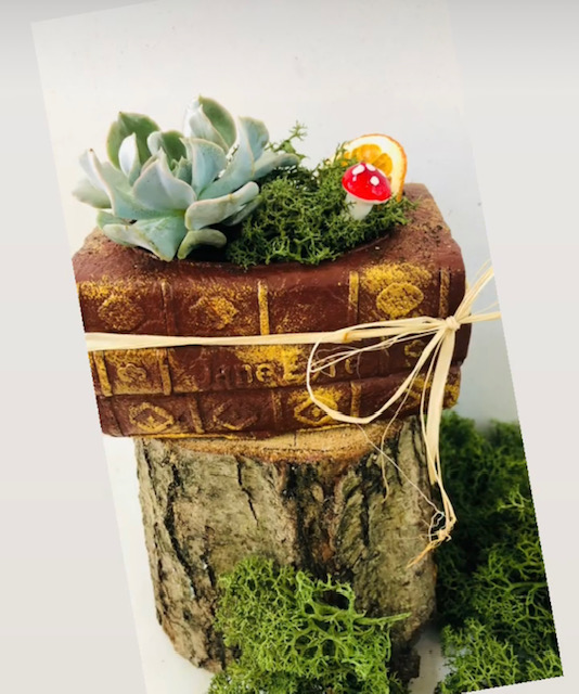 Kahverengi kitap seramik saksıda kaktus aranjmanı