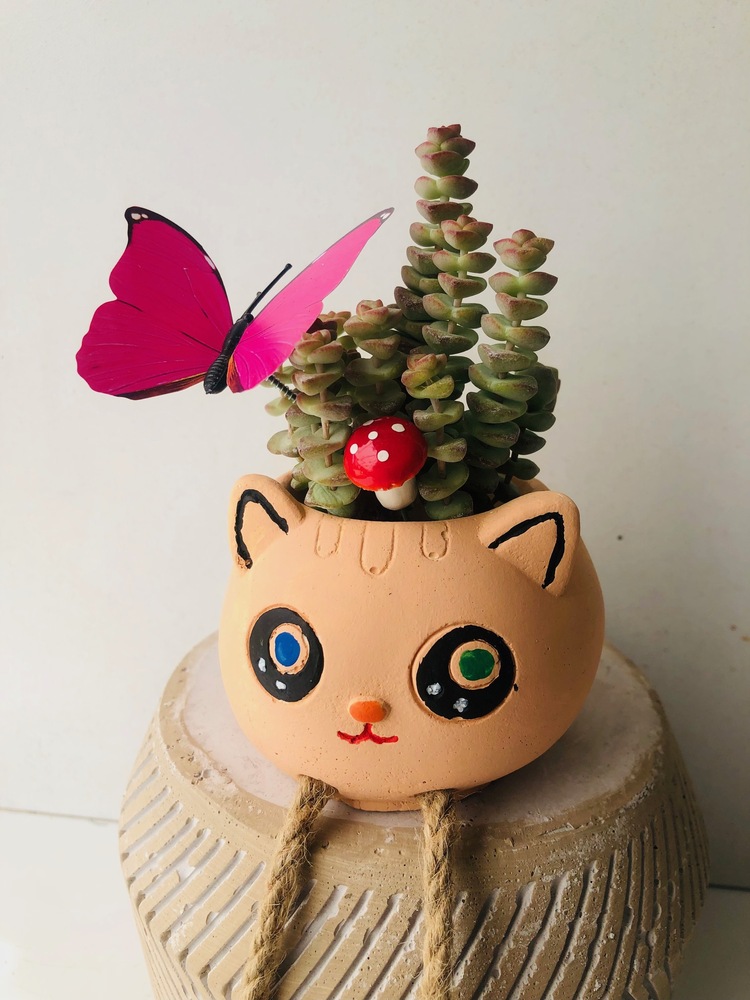 Kedi Seramik Saksıda Kaktüs Aranjman