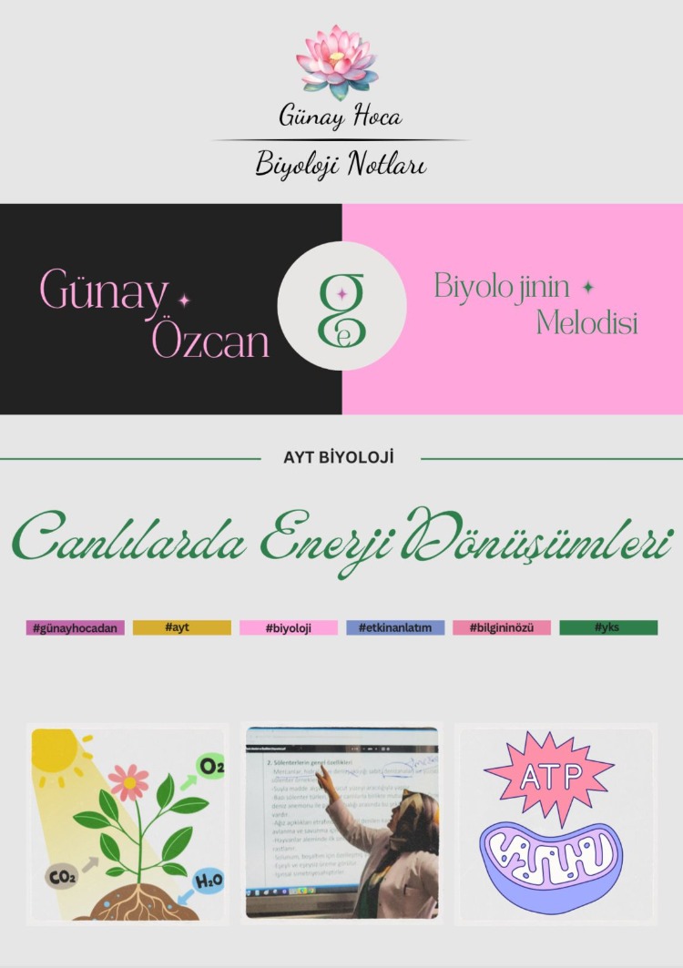 GÜNAY HOCA DERS NOTLARI / CANLILARDA ENERJİ DÖNÜŞÜMLERİ (PDF)
