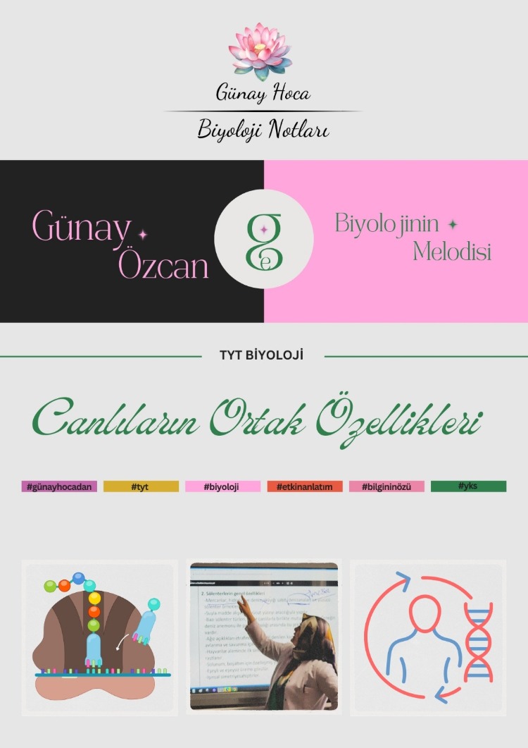 GÜNAY HOCA DERS NOTLARI / CANLILARIN ORTAK ÖZELLİKLERİ (PDF)