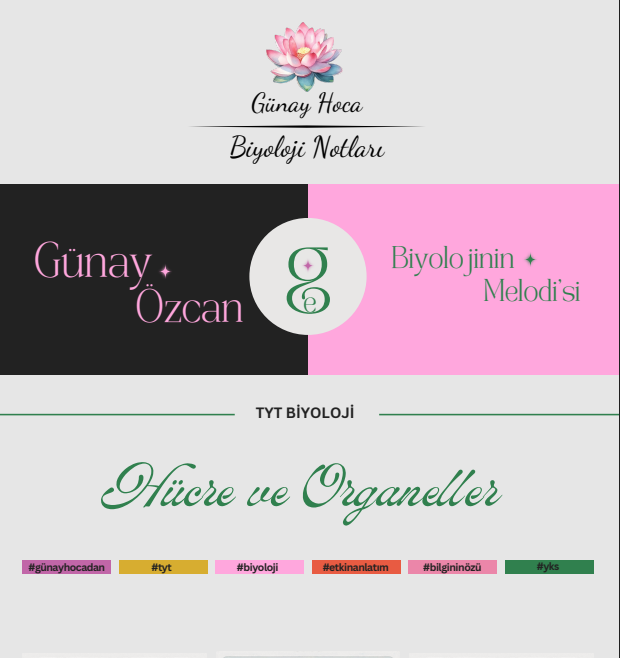 GÜNAY HOCA DERS NOTLARI / HÜCRE VE ORGANELLER (PDF)