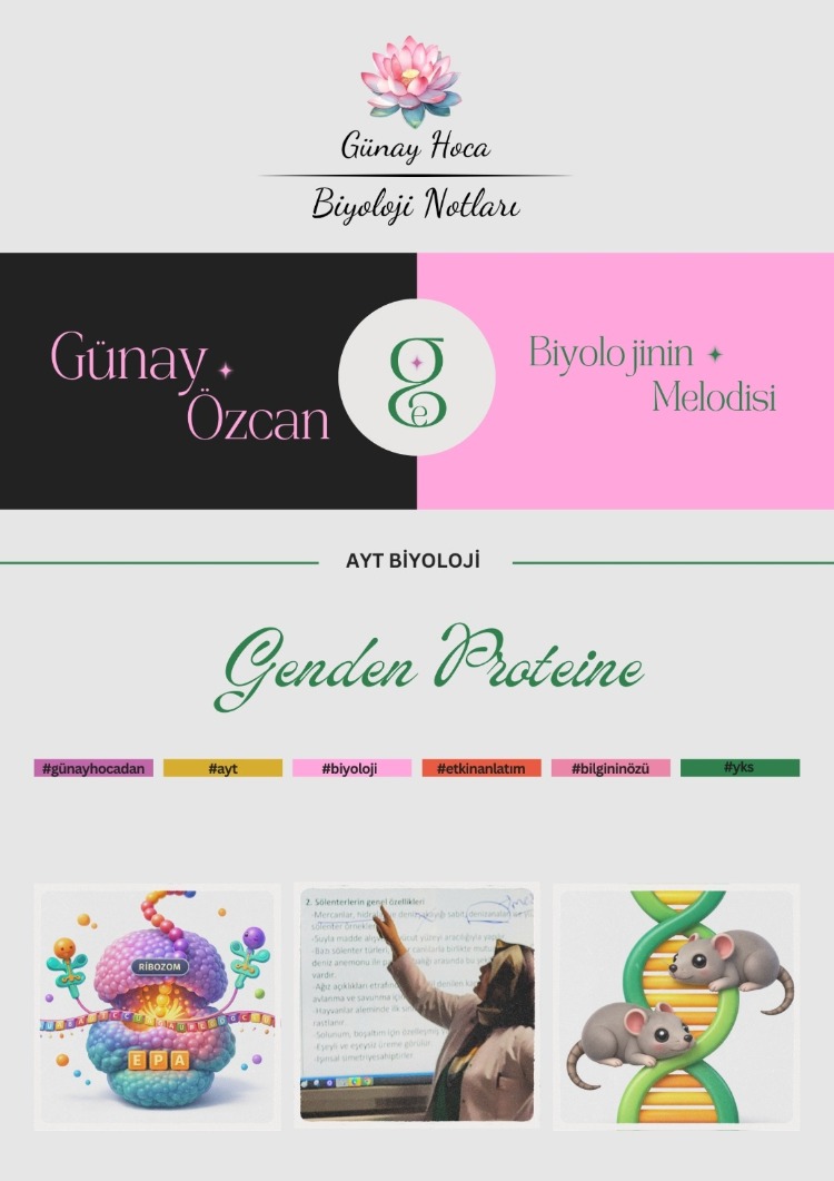 GÜNAY HOCA DERS NOTLARI / GENDEN PROTEİNE (PDF)