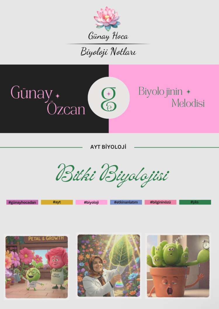 GÜNAY HOCA DERS NOTLARI / BİTKİ BİYOLOJİSİ (PDF)