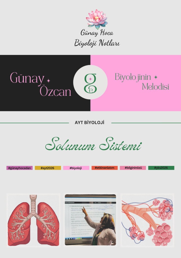 GÜNAY HOCA DERS NOTLARI/SOLUNUM SİSTEMİ AYT(PDF)