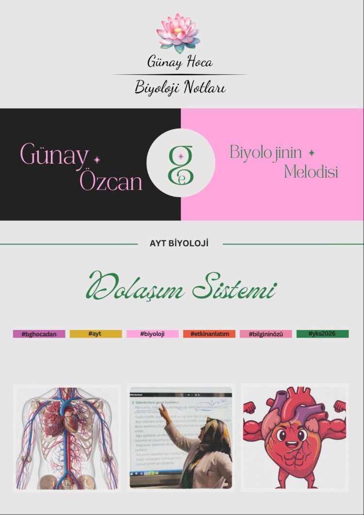 GÜNAY HOCA DERS NOTLARI / DOLAŞIM SİSTEMİ (PDF)