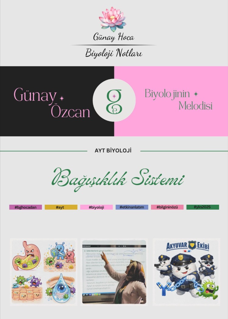 GÜNAY HOCA DERS NOTLARI / BAĞIŞIKLIK SİSTEMİ (PDF)
