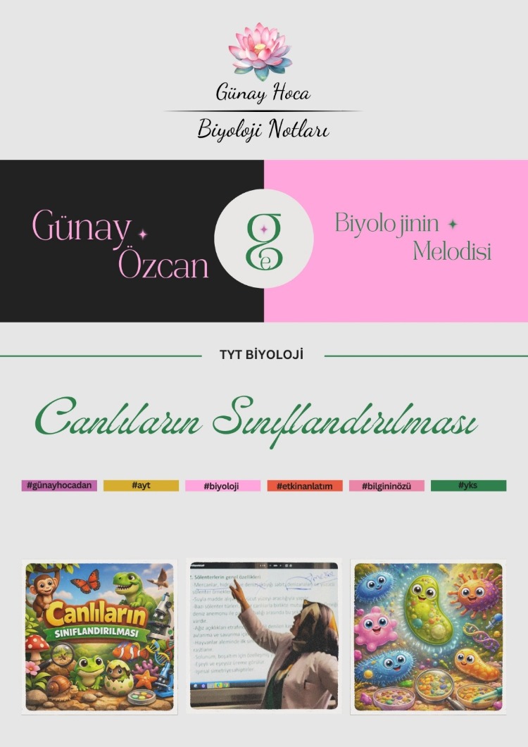 GÜNAY HOCA DERS NOTLARI / SINIFLANDIRMA (PDF)