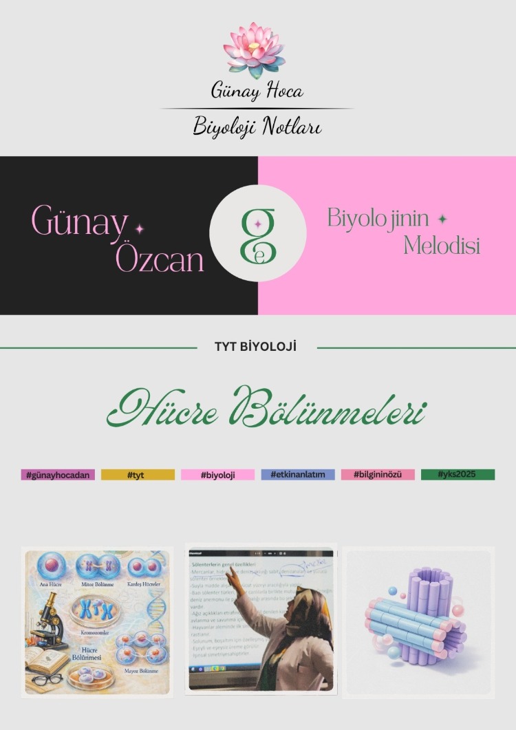 GÜNAY HOCA DERS NOTLARI / HÜCRE BÖLÜNMELERİ (PDF)