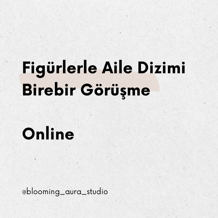 Figürlerle Aile Dizimi Birebir Görüşme Online 