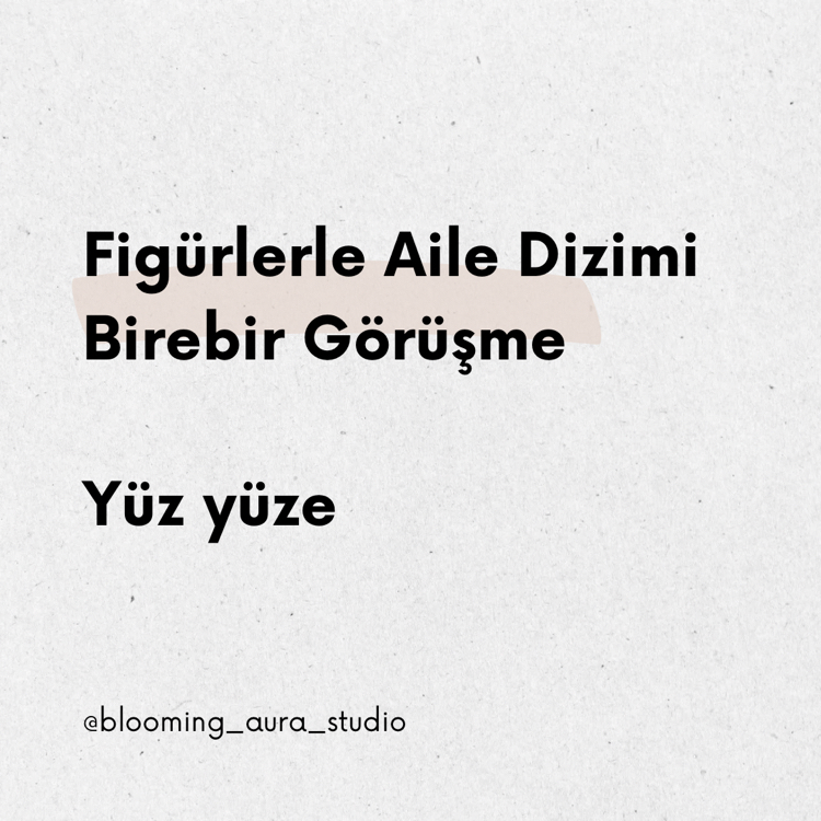 Figürlerle Aile Dizimi Birebir Görüşme 