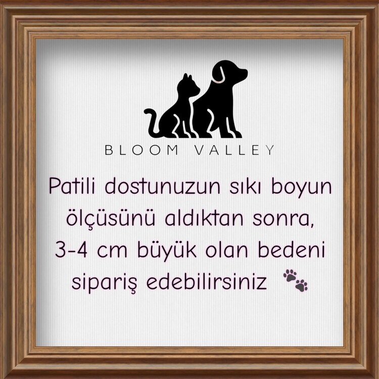 Mimosa - Renkli Kedi Köpek Kolyesi
