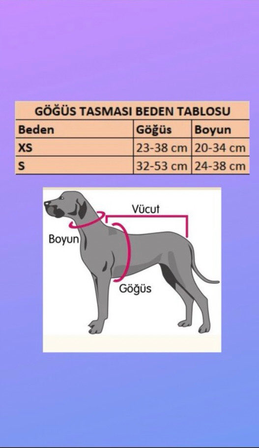 Venüs Göğüs Tasması