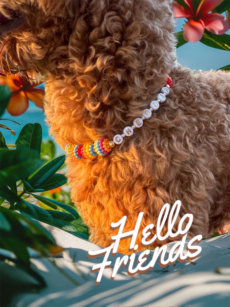 Mimosa - Renkli Kedi Köpek Kolyesi