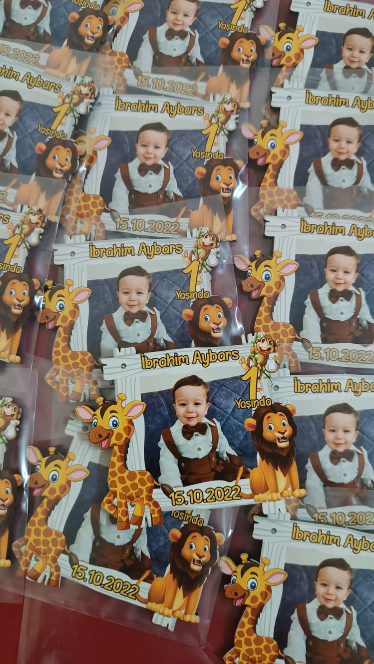 Safari Hayvanlı Magnet