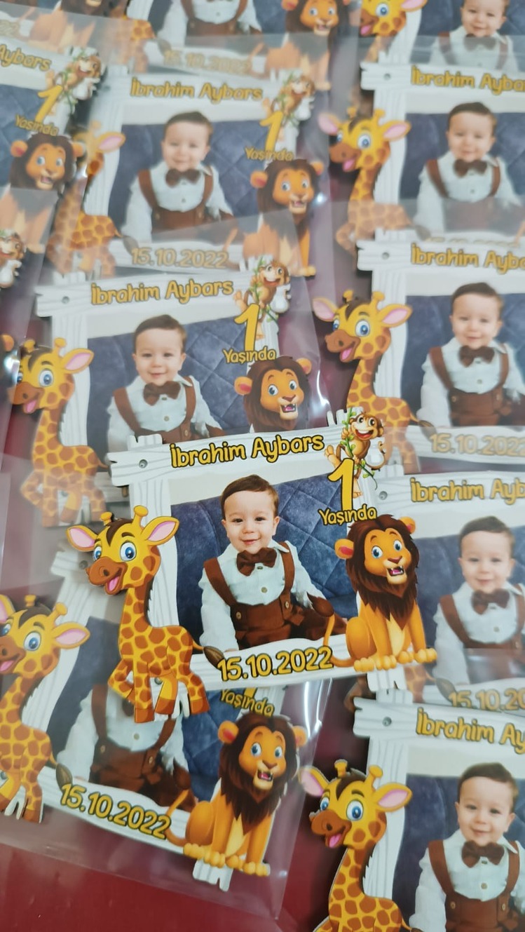 Safari Hayvanlı Magnet