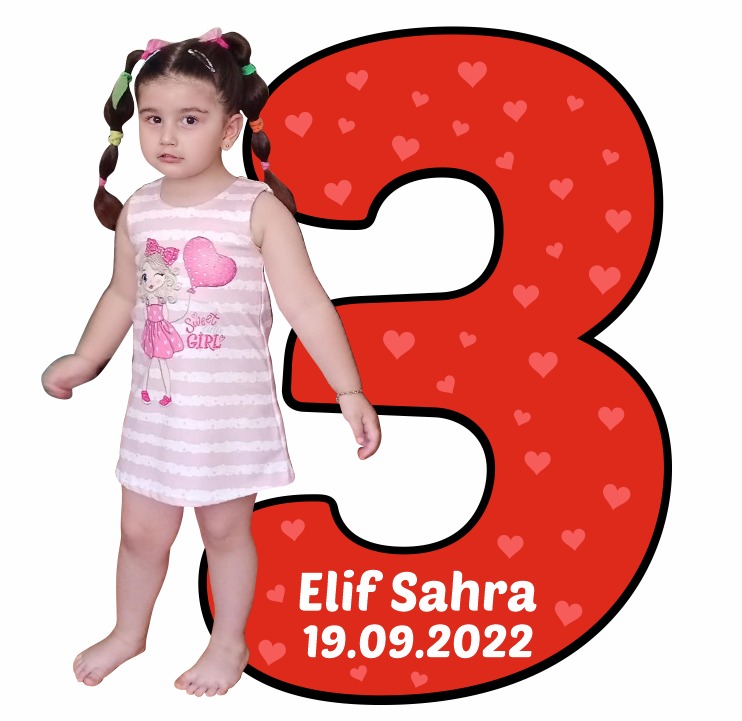 Rakamlı Magnet