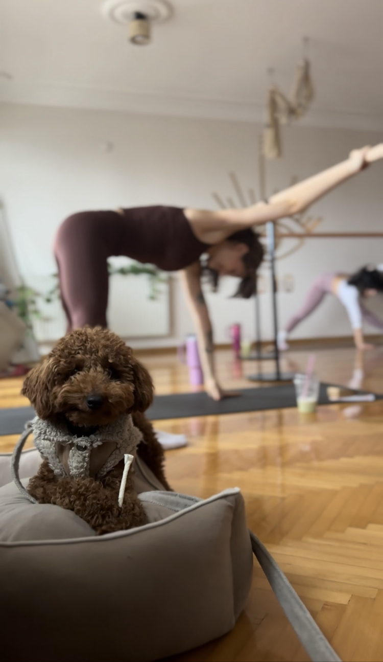 Barre Pilates