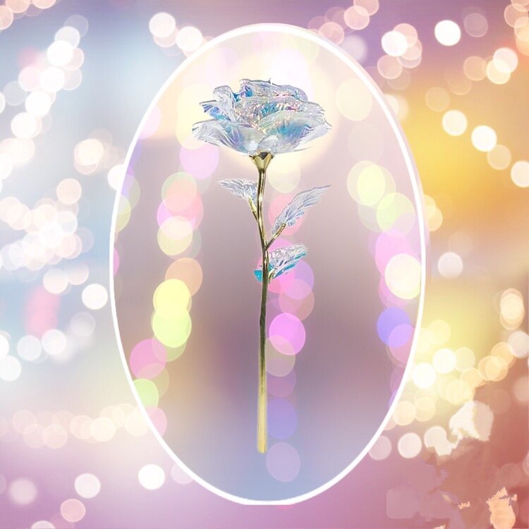 Galaxy Rose | Beyaz 