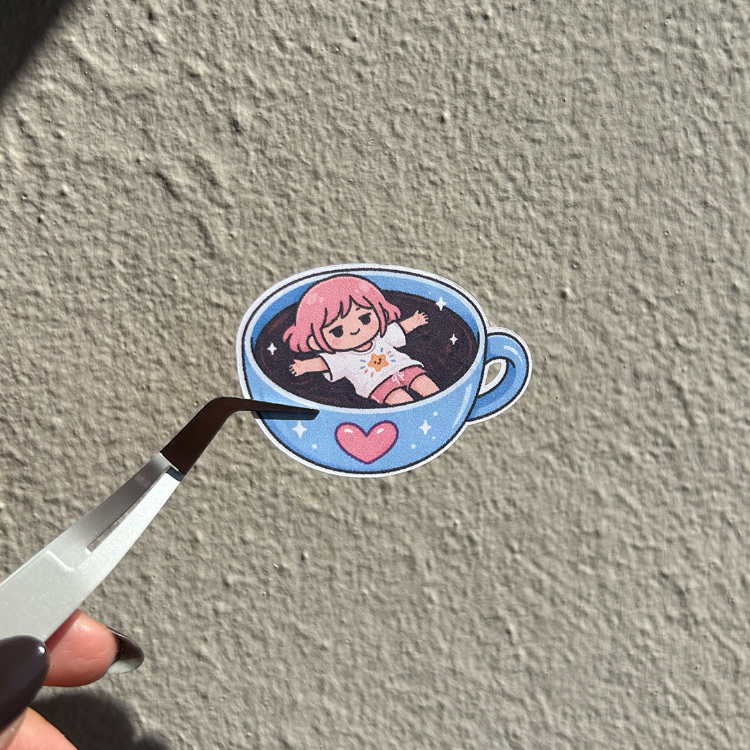 BonaPi No:6