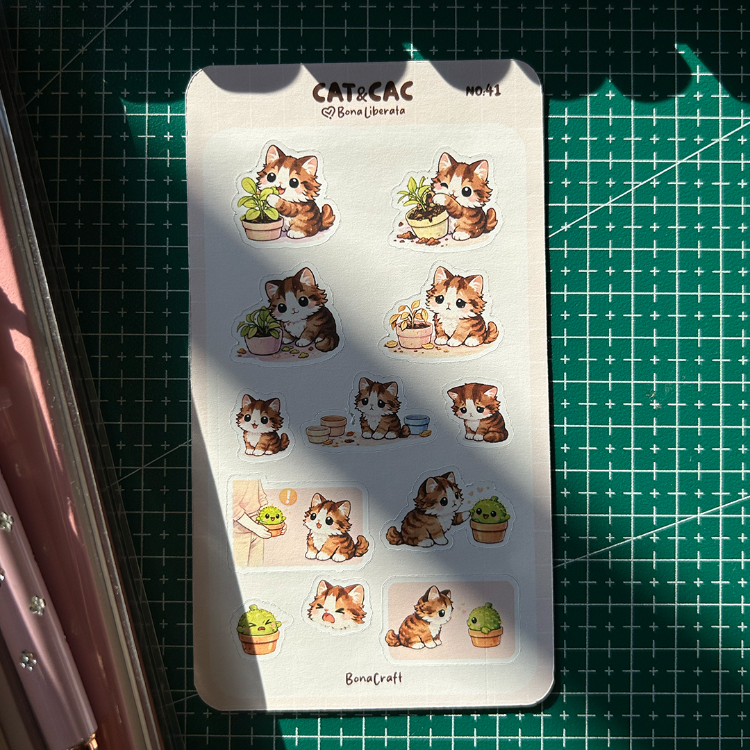 Cat&Cac No:41