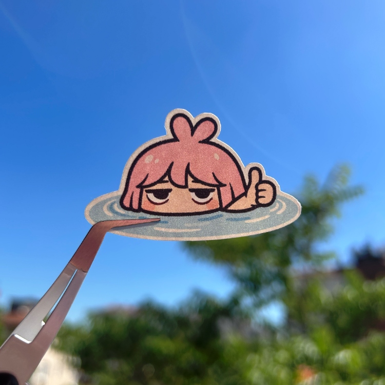 BonaPi No:2