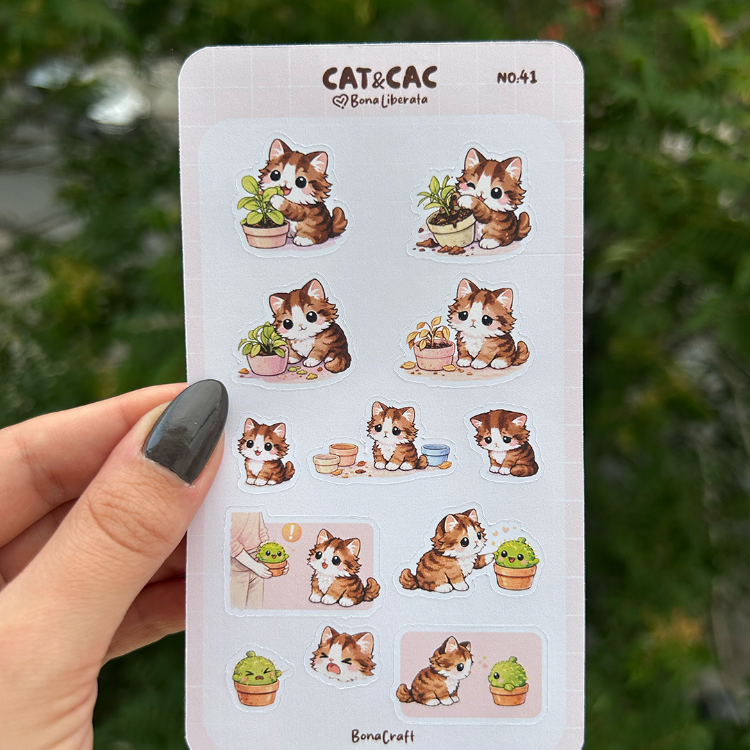 Cat&Cac No:41