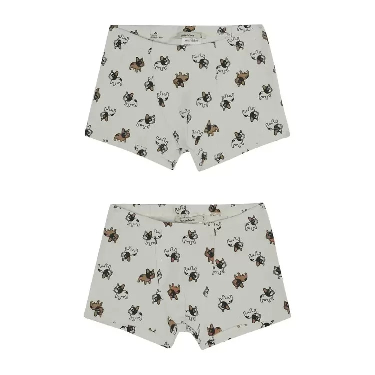 ANTEBIES - Selam Buldog Boxer İkili Paket