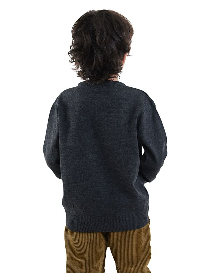 Denokids Hayvanlar Erkek Çocuk Triko Kazak