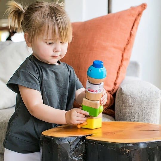 Hape Baby Einstein Ahşap Duyu Seti